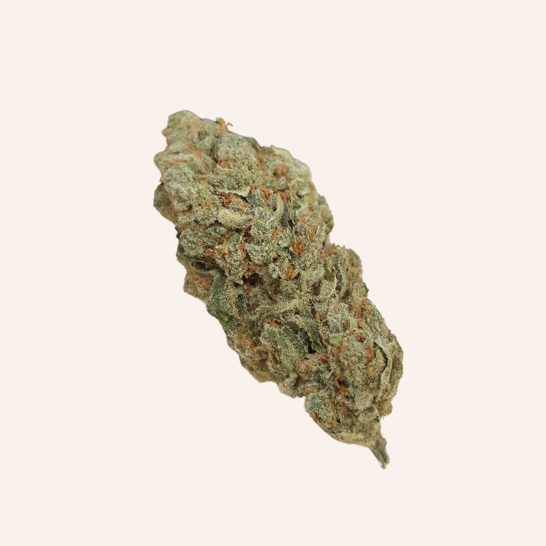 Amnésia Haze - hydro  (medium bud)