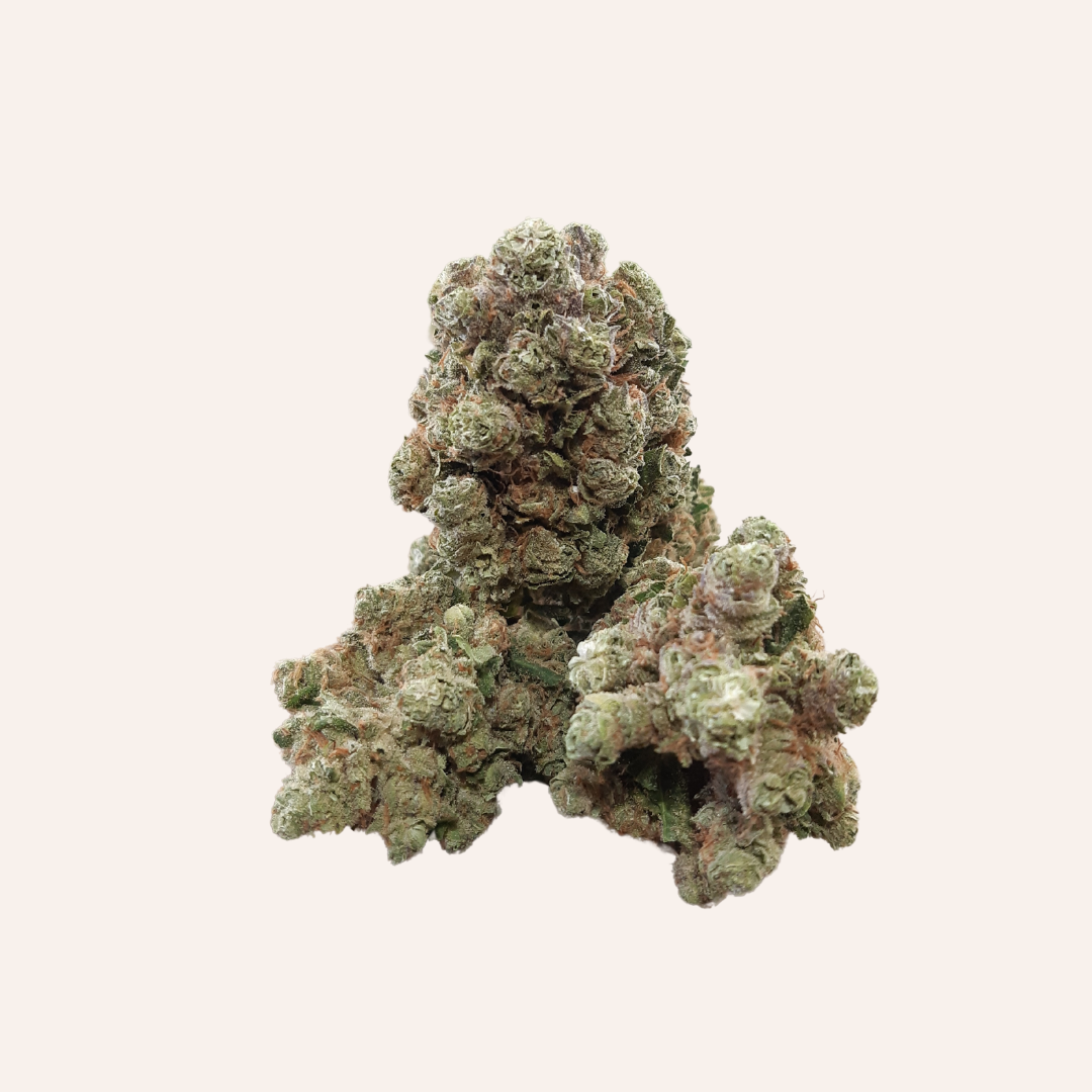 Critical + 2.0 - hydro