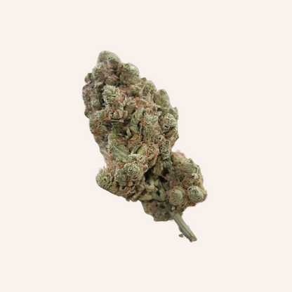 Critical + 2.0 - hydro