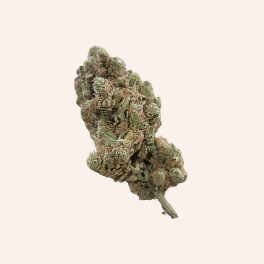 Critical + 2.0 - hydro